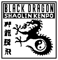 Black Dragon Shaolin Kenpo