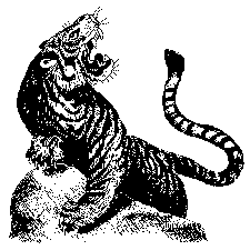[This tiger image is a trademark of Ralph Castro]